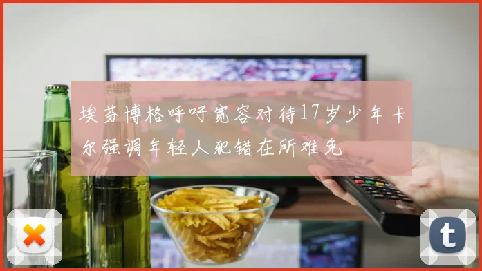 埃芬博格呼吁宽容对待17岁少年卡尔强调年轻人犯错在所难免