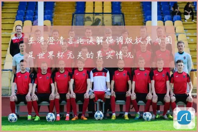王涛澄清言论误解强调版权费与国足世界杯无关的真实情况